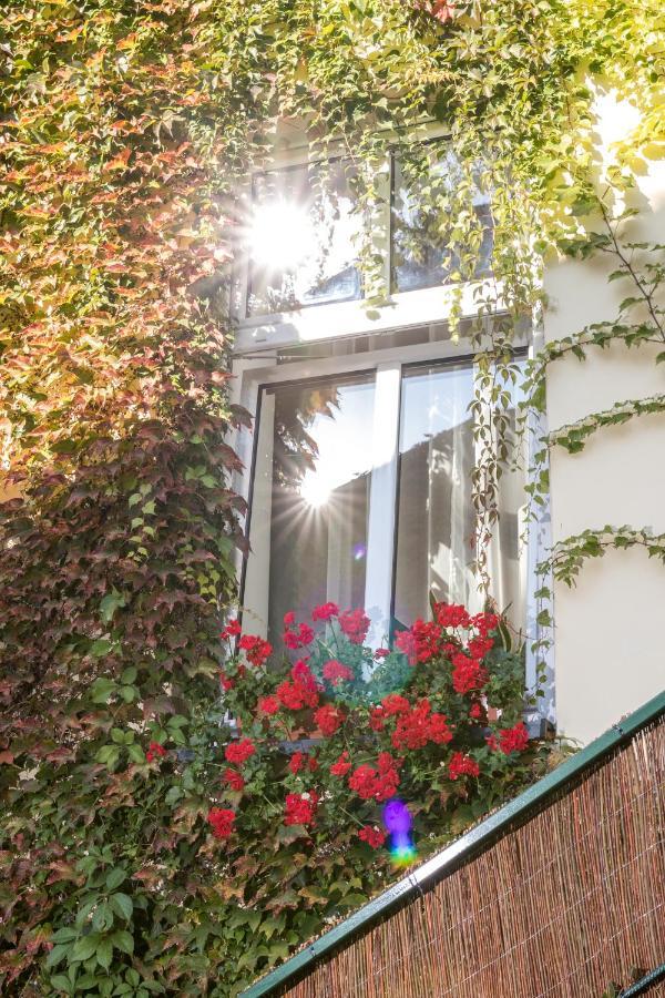 קרקוב Cracow Best Location Apartment With Garden By Cozyplace מראה חיצוני תמונה